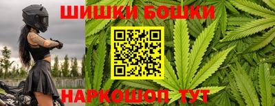 сатива Будённовск